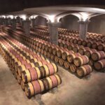 Rows of grapevines at a hidden South American vineyard